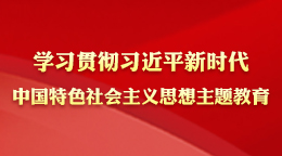 學(xué)習(xí)貫徹習(xí)近平新時(shí)代中國(guó)特色社會(huì)主義思想主題教育